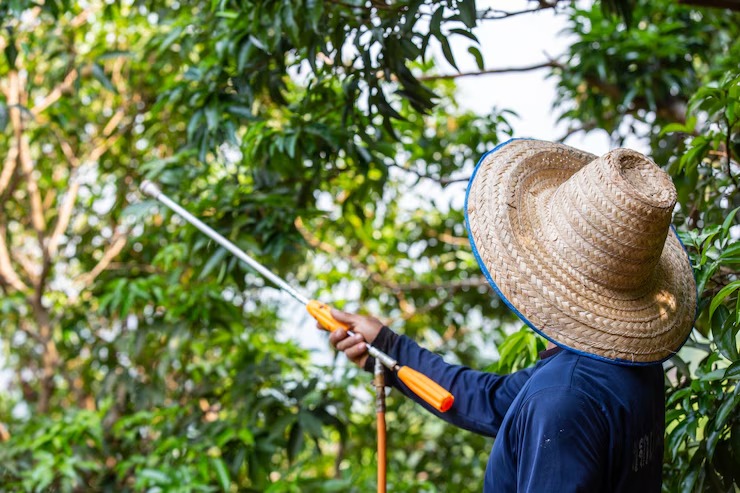 Top 5 Insecticides for Indian Farmers This Season